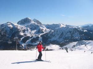een persoon op ski's in de sneeuw op een berg bij Haus Assinger in Hermagor