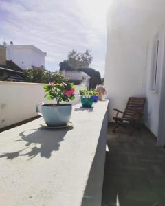 two potted plants sitting on the ledge of a balcony at PURA B&b in Noicattaro
