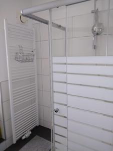 a bathroom with a shower and a white door at Studio-Apartment, zentral gelegen in Cologne