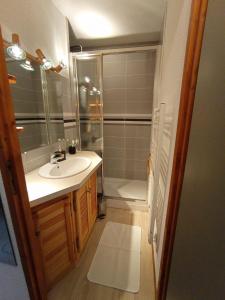 ein Bad mit einem Waschbecken und einer Dusche in der Unterkunft Studio PRAZ SUR ARLY in Praz-sur-Arly