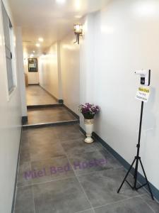Galeriebild der Unterkunft MIEL BED Hostel & Gallery in Chiang Mai
