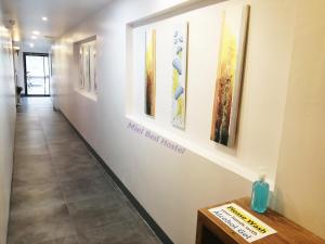 Galeriebild der Unterkunft MIEL BED Hostel & Gallery in Chiang Mai