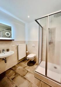 a bathroom with a shower and a toilet and a sink at Chalet & Apart Fichtelberger Blick in Kurort Oberwiesenthal