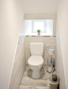 a white toilet in a bathroom with a window at ZenViewStudios in Saint-Agil