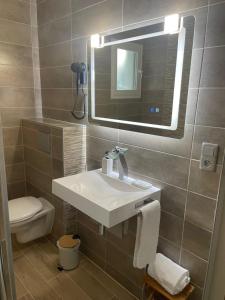 een badkamer met een wastafel, een spiegel en een toilet bij Villa Hotel in Saint-André-les-Vergers