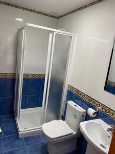 a bathroom with a shower and a toilet and a sink at Pension Ameneiral in O Pedrouzo