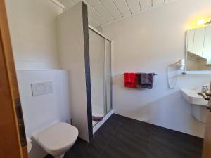 a bathroom with a shower and a toilet and a sink at Pension Tulpe in Sankt Kanzian