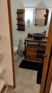 a bathroom with a sink and a toilet and a mirror at Bordeaux : grand studio cosy avec cour privative in Bordeaux