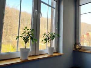 dos macetas sentadas en el alféizar de una ventana en Noclegi Pod Muflonem en Wałbrzych