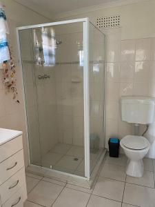 a bathroom with a shower and a toilet at Peter's Port in Pine Point