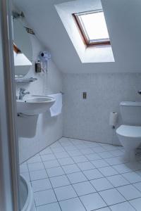 a bathroom with a toilet and a sink and a skylight at Hotel Praha in Boží Dar