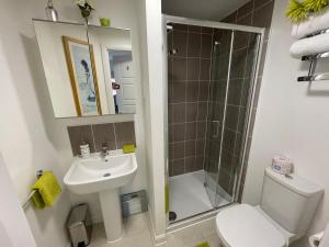a bathroom with a toilet and a sink and a shower at Comet place in Wellingborough