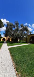 Fotografie z fotogalerie ubytování David bilocale wi-fi, posto auto, giardino, aria condizionata v destinaci Donoratico