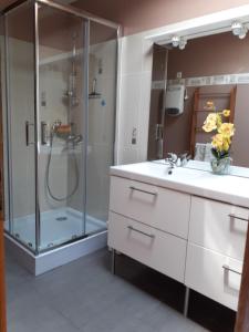 a bathroom with a shower and a sink at La grange des chouettes in Ilheu