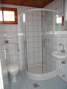 海格口的住宿－Hipságh Vendégház，带淋浴、卫生间和盥洗盆的浴室