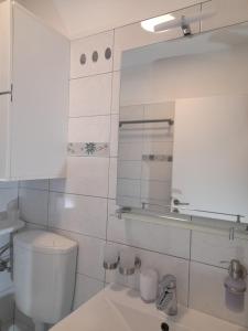 a bathroom with a toilet and a sink and a mirror at Apartments Donella in Umag