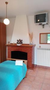 uma sala de estar com uma cama e uma lareira em B&B ERMINIA em Laino Borgo