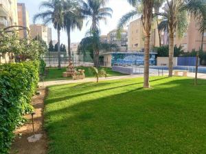 un parc avec des palmiers et une pelouse verdoyante dans l'établissement Orly Pobla de Farnals playa, à Las Canteras