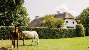 Das Gebäude in dem sich das Bed & Breakfast befindet