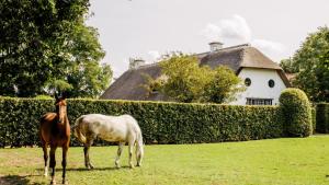 Gallery image of Truyenhof in Bree