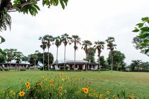 Um jardim no exterior de Fish Tail Lodge