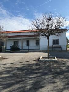 ein weißes Gebäude mit einem Baum davor in der Unterkunft Moradia Gémea em Herdade Santa Marta in Zebreira