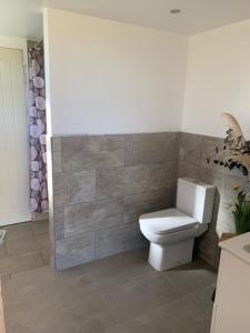 a bathroom with a toilet and a tile wall at Maple Hut Four Acre Farm in Aylsham