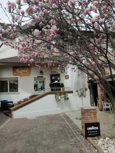 a tree with pink flowers in front of a building at Bizant Boutique in Bacău