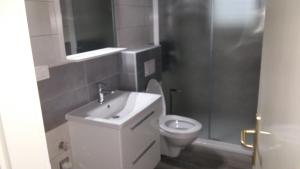 La petite salle de bains est pourvue de toilettes et d'un lavabo. dans l'établissement APARTMANI LANA, à Rab