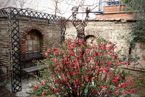 Zahrada ubytování Artists Residence in Tbilisi