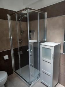 La salle de bains est pourvue d'une douche avec une porte en verre. dans l'établissement Monticelli Casa Vacanza, à Campi Salentina