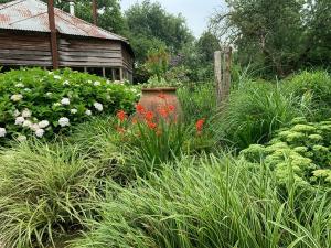 a garden with tall grass and flowers in front of a house at Atelier Onder de Notenboom in Appeltern