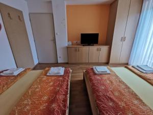 Zimmer mit 2 Betten und einem TV. in der Unterkunft Apartments Henigman in Bohinj