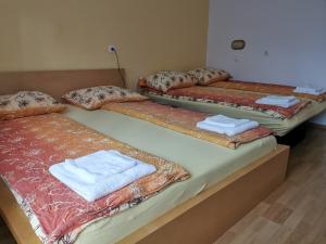 3 bedden staan in een kamer bij Apartments Henigman in Bohinj