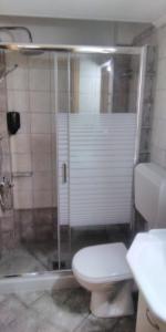 y baño con ducha, aseo y lavamanos. en POLYTIMI HOUSE, en Kalavrita