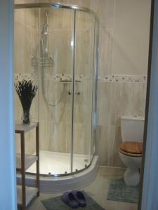 a bathroom with a shower stall, toilet and tub at The Moats - Ledbury in Ledbury