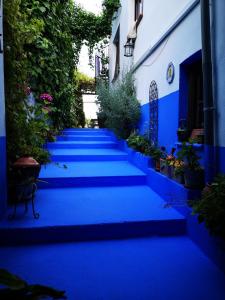 un grupo de escaleras azules en un edificio con plantas en La Seguiriya, en Alhama de Granada