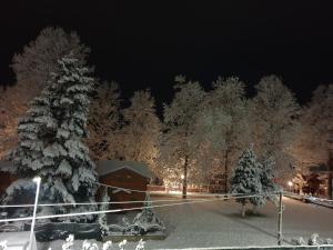 a group of trees covered in snow at night at Villa & Apartments Antigona in Ohrid +67 photos
