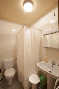 Koupelna v ubytování Apartaments Castellar de n'Hug