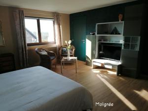 a bedroom with a bed and a flat screen tv at Le Cerisier in Bioul
