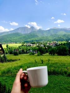 コシチェリスコにあるDomki Karpielówka Luxury Chaletの畑に持ちコーヒーを飲む者