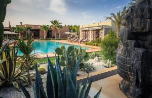 a swimming pool in a yard with cactus at Villa imperiale Marrakech in Marrakesh