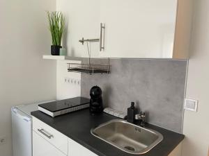 Η κουζίνα ή μικρή κουζίνα στο Villa Tara Bük +96 φωτογραφίες