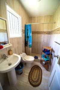 y baño con lavabo, aseo y ducha. en Casa Azul Las Galeras, en Las Galeras