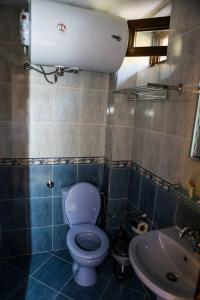 a bathroom with a toilet and a sink at Delchovski Han in Delchevo