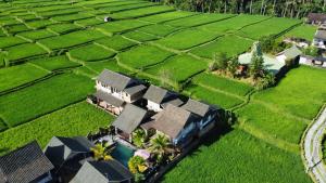 Zahrada ubytování Ananda JJ Ubud Resort & Spa