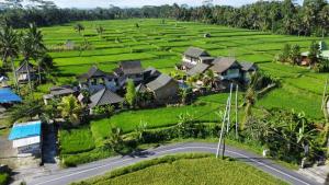 Zahrada ubytování Ananda JJ Ubud Resort & Spa