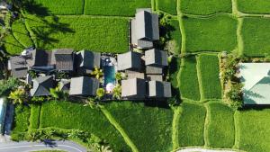 Letecký snímek ubytování Ananda JJ Ubud Resort & Spa