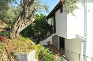 Vonkajšia záhrada v ubytovaní Violetta Studios & Apartments