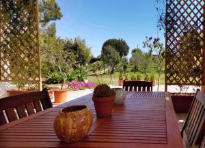 einen Holztisch mit Topfpflanzen auf einer Terrasse in der Unterkunft Home Garden in Siniscola